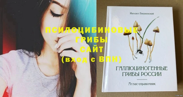 стафф Балахна