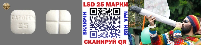 LSD-25 экстази ecstasy  Купить где  Кадников 