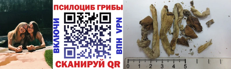 Галлюциногенные грибы MAGIC MUSHROOMS Купить Кадников