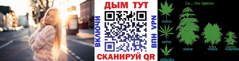 Купить где  Кадников  Марихуана MAZAR 